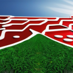 免疫失调之谜与健康食补攻略